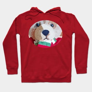 Teddy Bear Close Up Portrait Hoodie